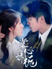 ���Ľ���