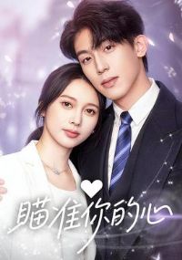 ��׼�����