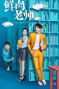 ������ʦ