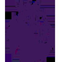 Ӣ���ļ����� ����vs����ķ��20250727